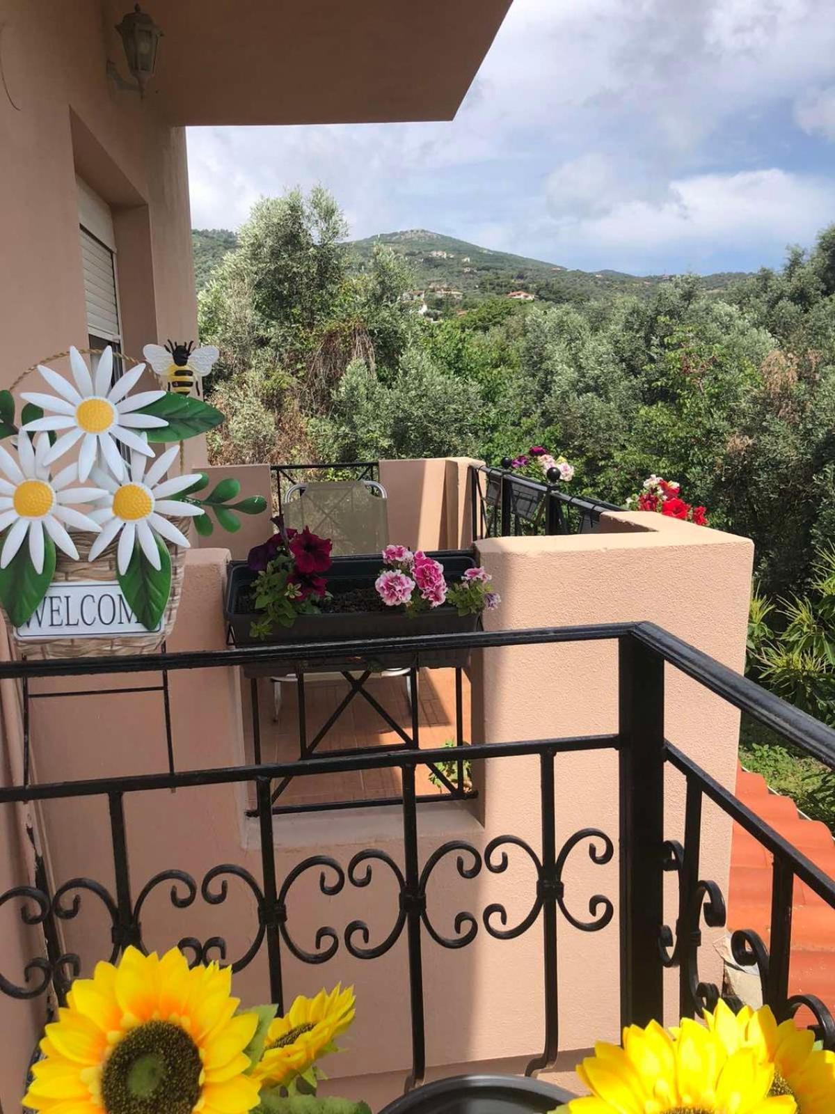 Daisy Skiathos-Stadt
