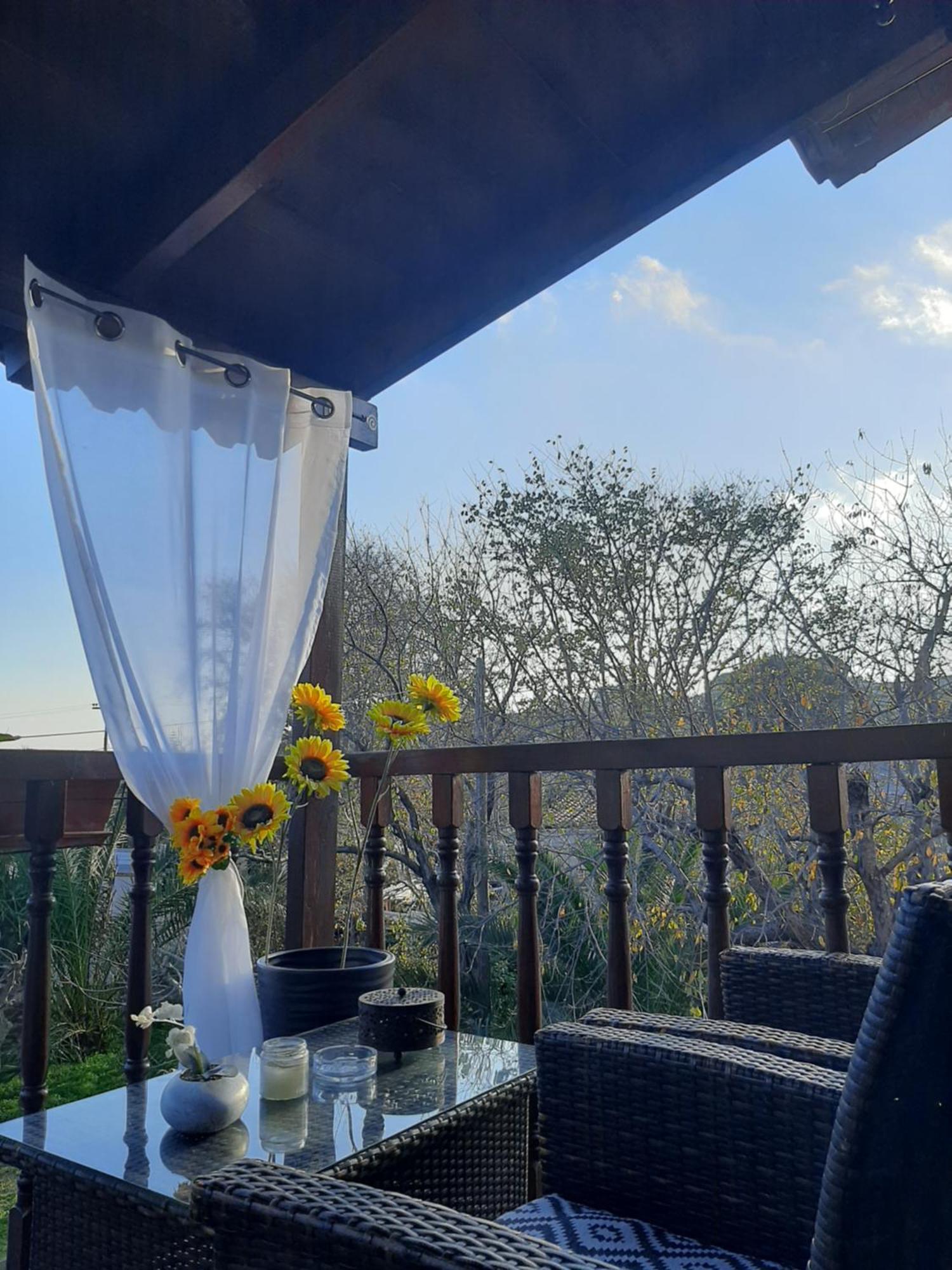 Apartment Daisy Skiathos-Stadt