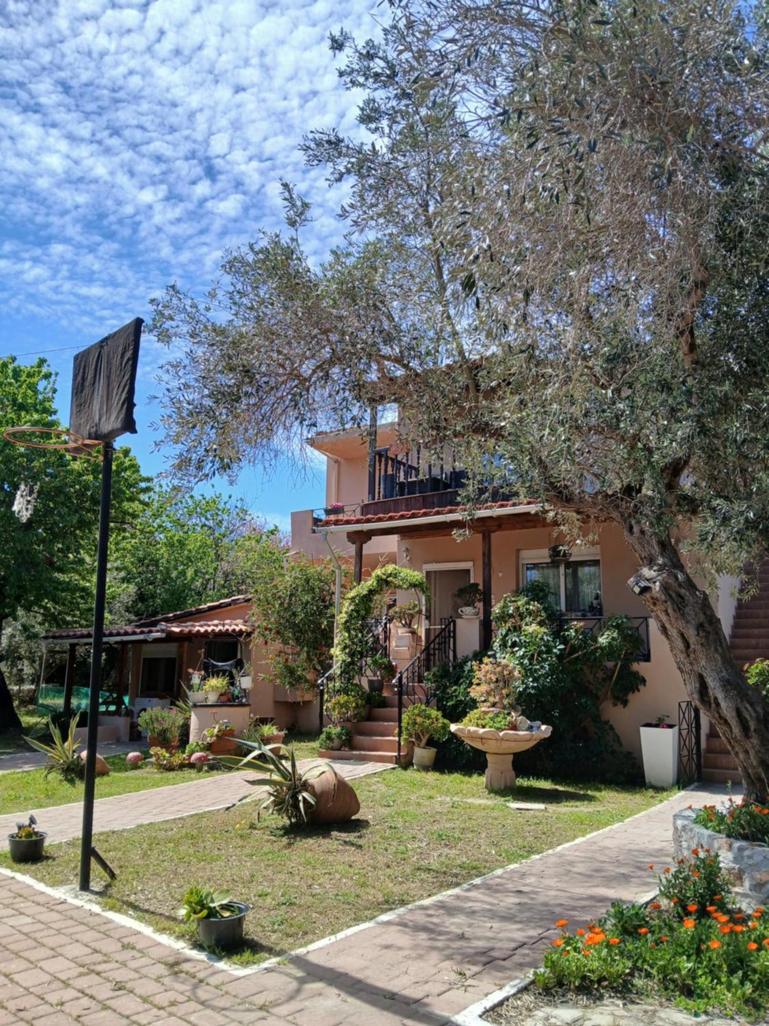 Apartment Daisy Skiathos-Stadt
