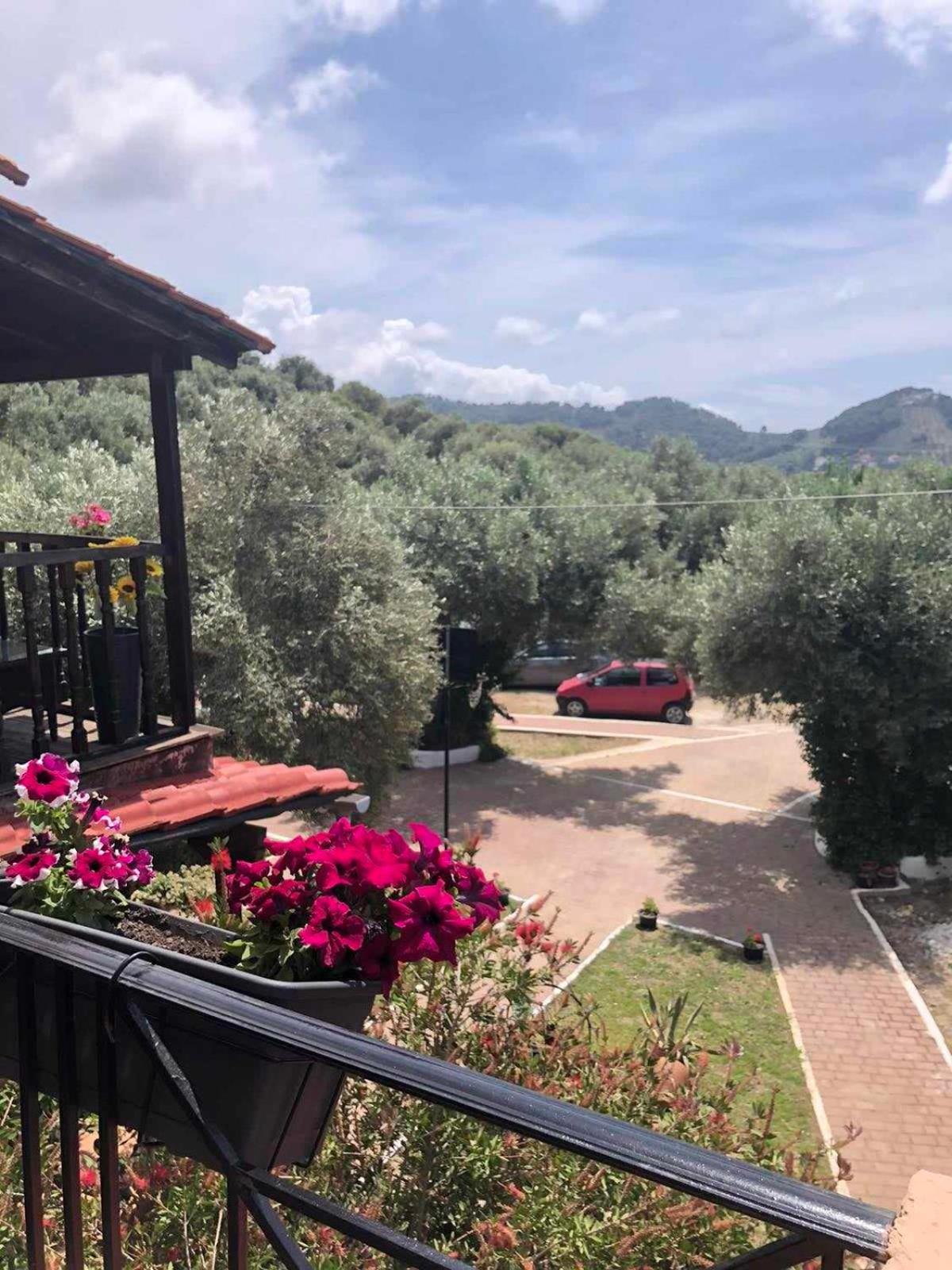 Daisy Apartment Skiathos Town
